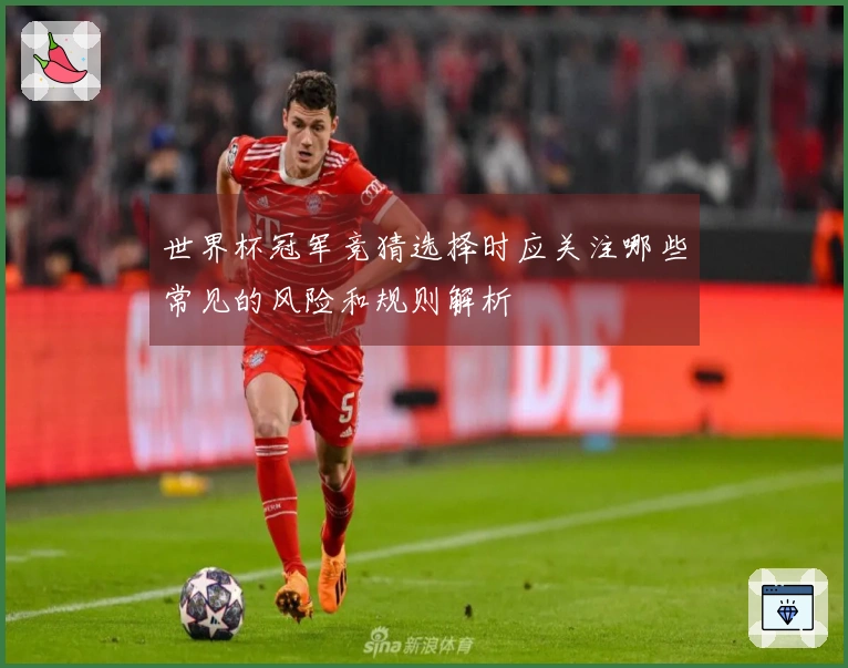 世界杯冠军竞猜选择时应关注哪些常见的风险和规则解析