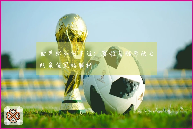 世界杯如何下注：赛程与赔率结合的最佳策略解析