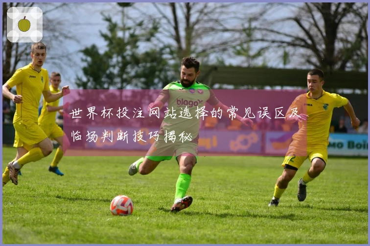 世界杯投注网站选择的常见误区及临场判断技巧揭秘